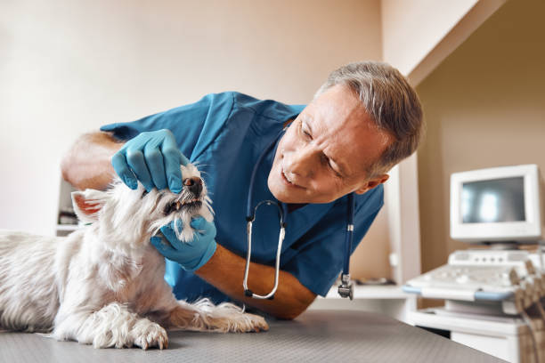 Best Emergency Tooth Extraction in Bloomingburg, OH