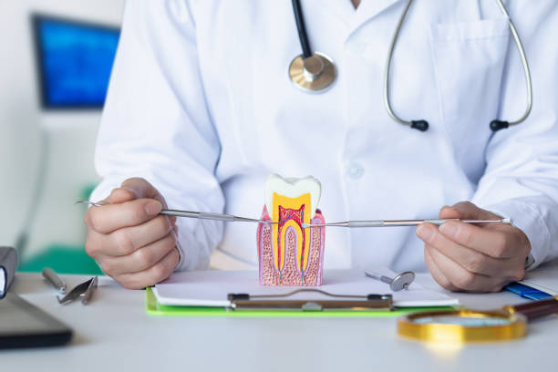 Best Cosmetic Emergency Dentistry in Bloomingburg, OH